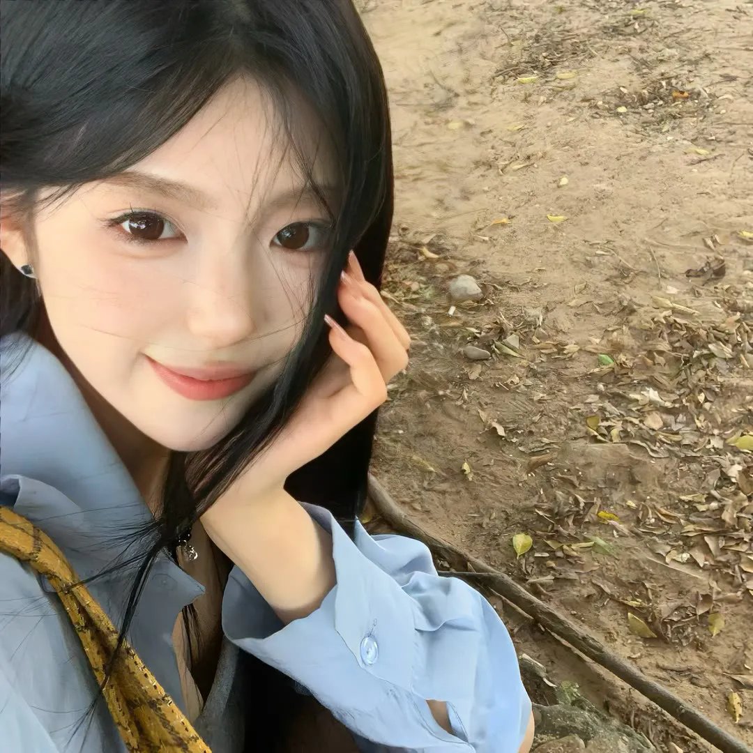 飞燕惊鸿